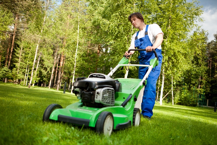 To Hire A Professional Landscaper, How To Hire Landscaper